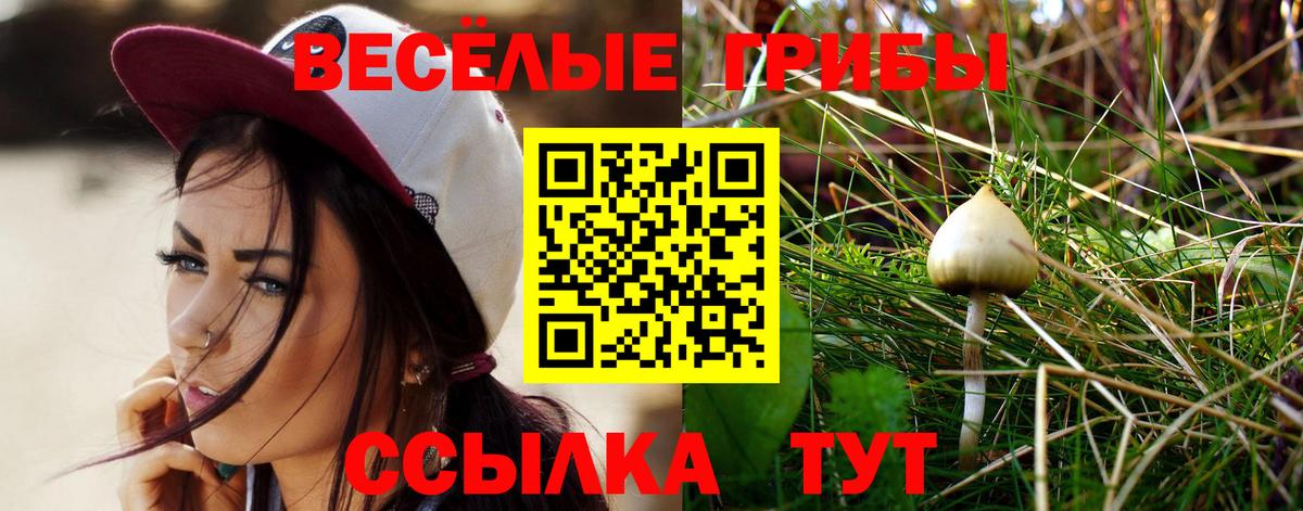 Сызрань  Галлюциногенные грибы мухоморы  Вход с VPN  Псилоцибиновые грибы GOLDEN TEACHER 